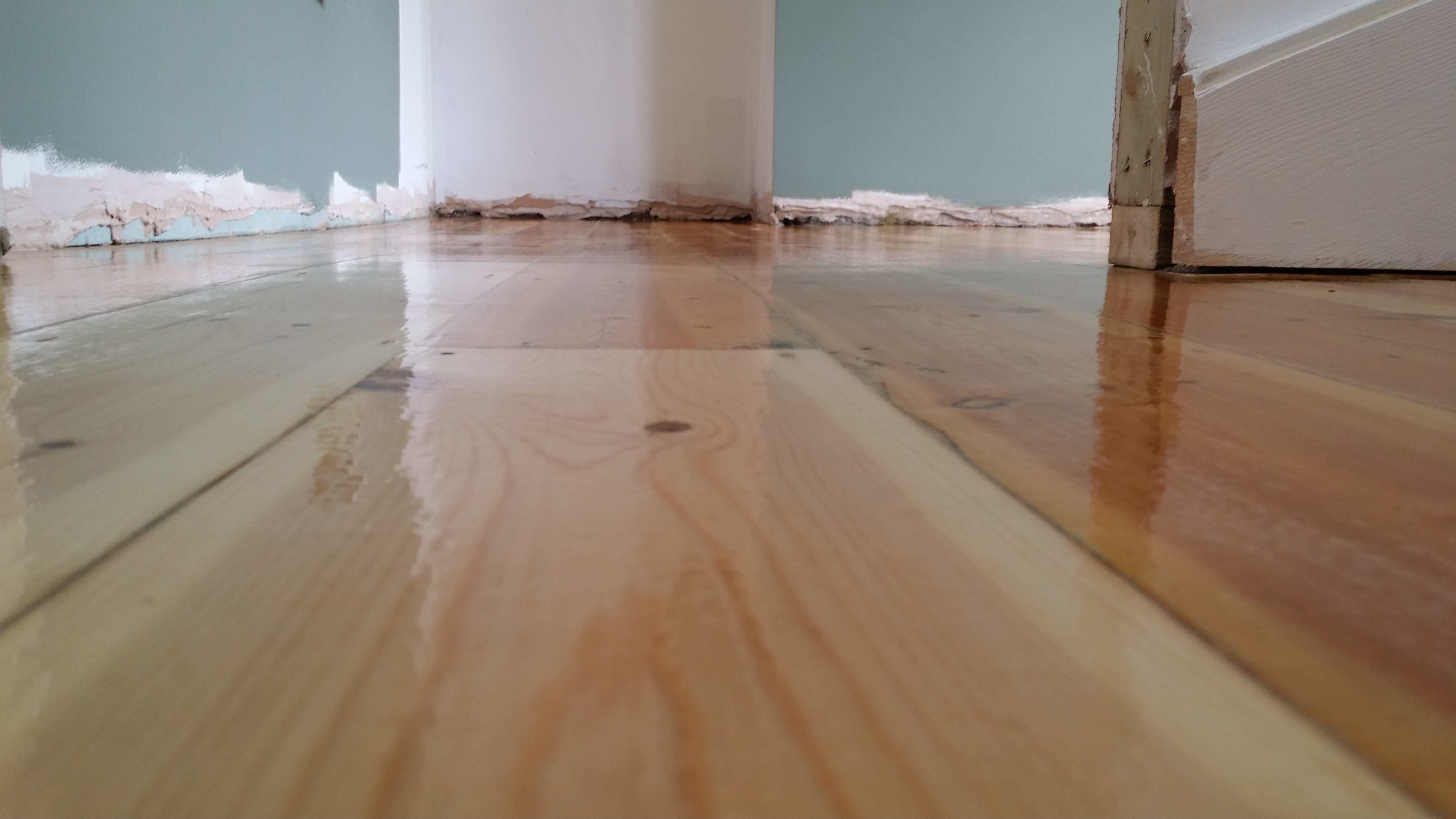 Floor Sanding And Refinishing In London Surrey And Sussex